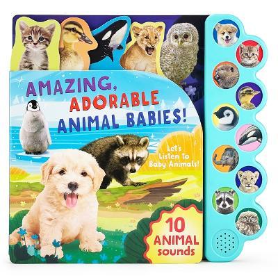 Amazing, Adorable Animal Babies! - Parragon Books