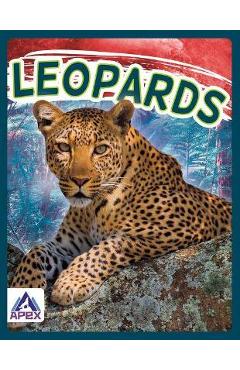 Coperta cărții 'Leopards - Sophie Geister-jones'