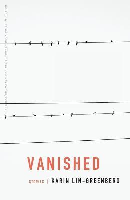 Vanished: Stories - Karin Lin-greenberg