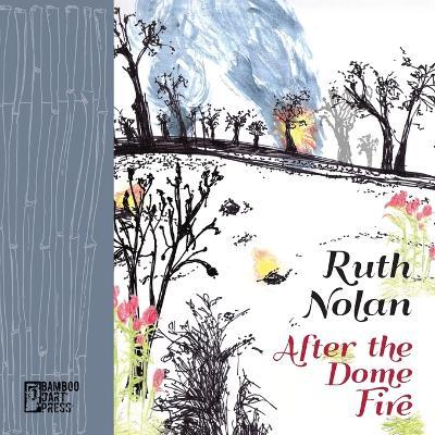 After the Dome Fire - Ruth Nolan