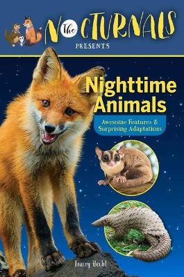 The Nocturnals Nighttime Animals: Awesome Features & Surprising Adaptations: Nonfiction Early Reader - Tracey Hecht