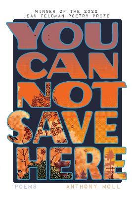 You Cannot Save Here - Anthony Moll