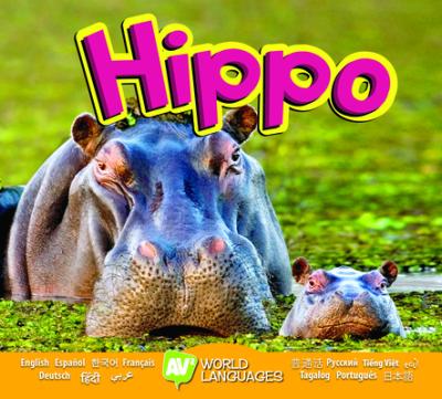Hippo - Aaron Carr