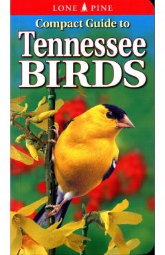 Compact Guide to Tennessee Birds - Michael Roedel