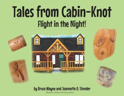Tales from Cabin-Knot: Flight in the Night! - Bruce Wayne