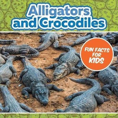 Alligators and Crocodiles Fun Facts For Kids - Baby Professor