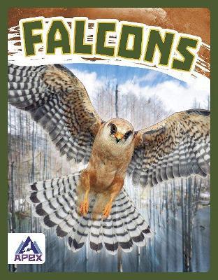 Falcons - Connor Stratton