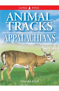 Animal Tracks of the Appalachians - Tamara Eder