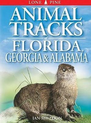 Animal Tracks of Florida, Georgia, Alabama - Ian Sheldon