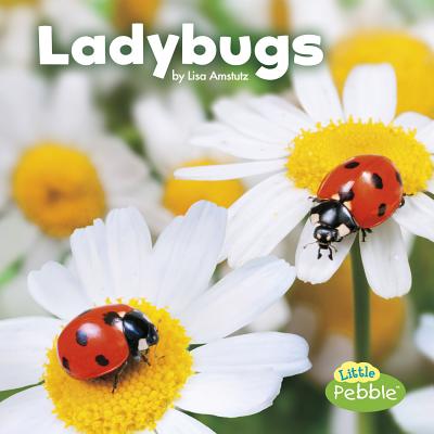 Ladybugs - Lisa J. Amstutz