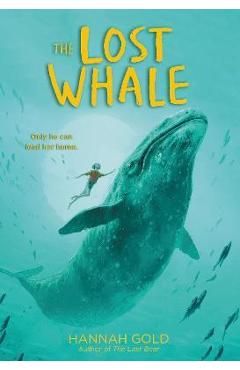 Coperta cărții 'The Lost Whale - Hannah Gold'