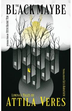 The Black Maybe: Liminal Tales - Attila Veres