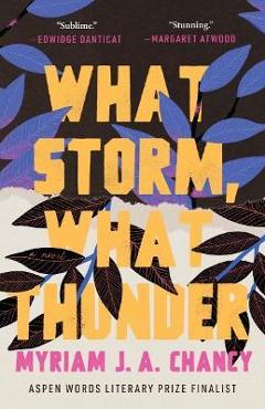 Coperta cărții 'What Storm, What Thunder - Myriam J. A. Chancy'