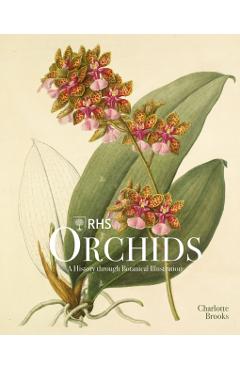 Rhs Orchids - Charlotte Brooks