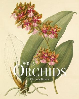 Rhs Orchids - Charlotte Brooks