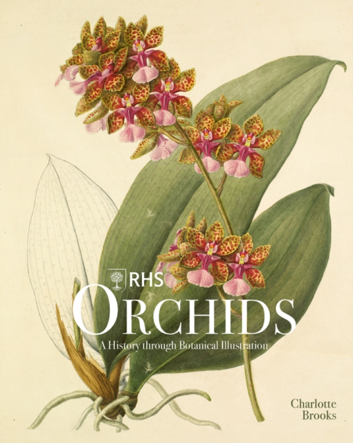 Rhs Orchids - Charlotte Brooks