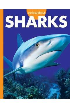 Coperta cărții 'Curious about Sharks - Amy S. Hansen'