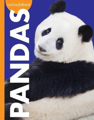 Curious about Pandas - Amy S. Hansen