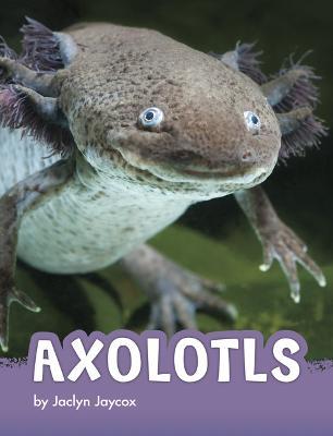 Axolotls - Jaclyn Jaycox
