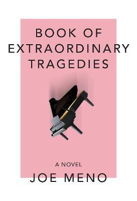 Book of Extraordinary Tragedies - Joe Meno