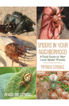 Spiders in Your Neighborhood: A Field Guide to Your Local Spider Friends, Revised and Expanded - Patrick Stadille