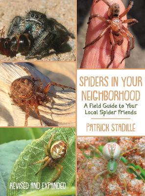 Spiders in Your Neighborhood: A Field Guide to Your Local Spider Friends, Revised and Expanded - Patrick Stadille