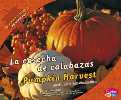 La Cosecha de Calabazas/Pumpkin Harvest - Calvin Harris