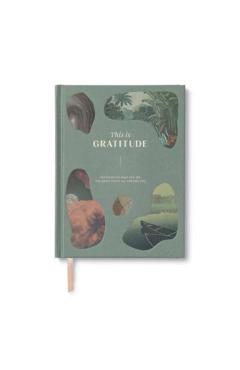 This Is Gratitude: Activities to Help You See the Good That's All Around You - M. H. Clark
