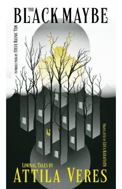 The Black Maybe: Liminal Tales - Attila Veres