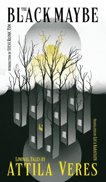 The Black Maybe: Liminal Tales - Attila Veres