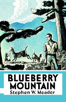 Blueberry Mountain - Stephen W. Meader