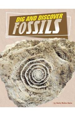 Coperta cărții 'Dig and Discover Fossils - Anita Nahta Amin'