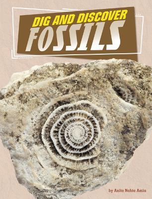 Coperta cărții 'Dig and Discover Fossils - Anita Nahta Amin'
