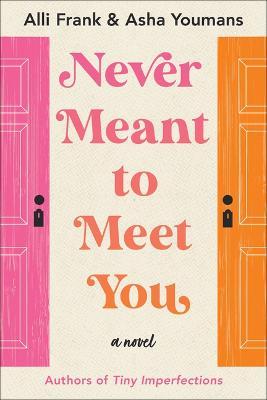 Never Meant to Meet You - Alli Frank