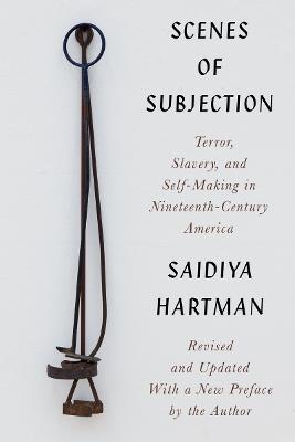 Scenes of Subjection: Terror, Slavery, and Self-Making in Nineteenth-Century America - Saidiya Hartman
