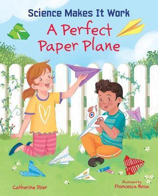 A Perfect Paper Plane - Catherine Stier