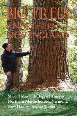 Big Trees of Northern New England - Kevin Martin