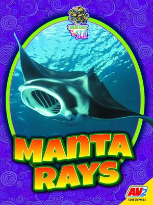 Manta Rays - Judy Wearing
