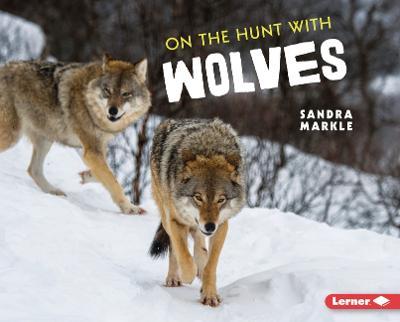 On the Hunt with Wolves - Sandra Markle