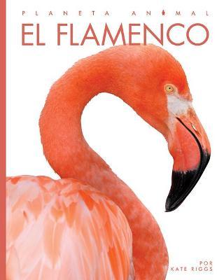 El Flamenco - Kate Riggs