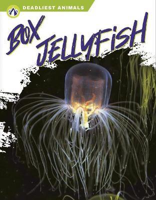 Box Jellyfish - Connor Stratton