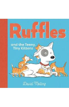 Coperta cărții 'Ruffles and the Teeny, Tiny Kittens - David Melling'
