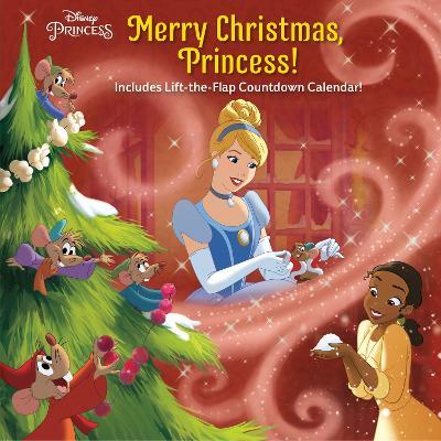 Merry Christmas, Princess! (Disney Princess) - Nicole Johnson