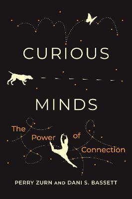 Curious Minds: The Power of Connection - Perry Zurn