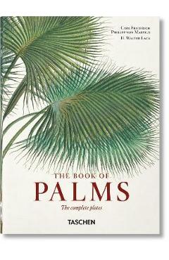 Coperta cărții 'Martius. the Book of Palms. 40th Ed. - H. Walter Lack'