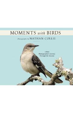 Poza produsului Moments with Birds: A Bird Photographer's Journey Through the Seasons - Nathan Collie