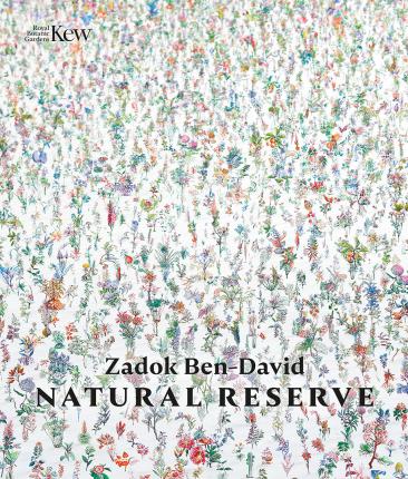 Natural Reserve - Zadok Ben-david