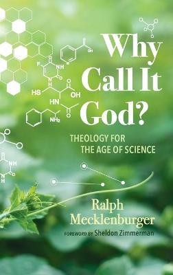 Why Call It God?: Theology for the Age of Science - Ralph Mecklenburger