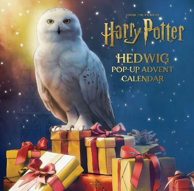 Harry Potter: Hedwig Pop-Up Advent Calendar - Matthew Reinhart