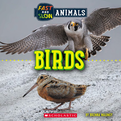 Fast and Slow: Birds (Wild World) - Brenna Maloney